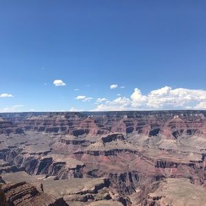 Meet your Posher, Cole